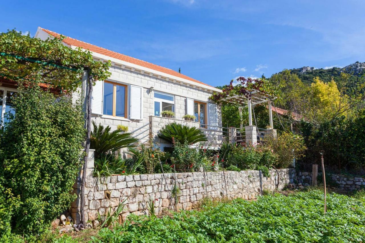 Aska Apartma Lopud