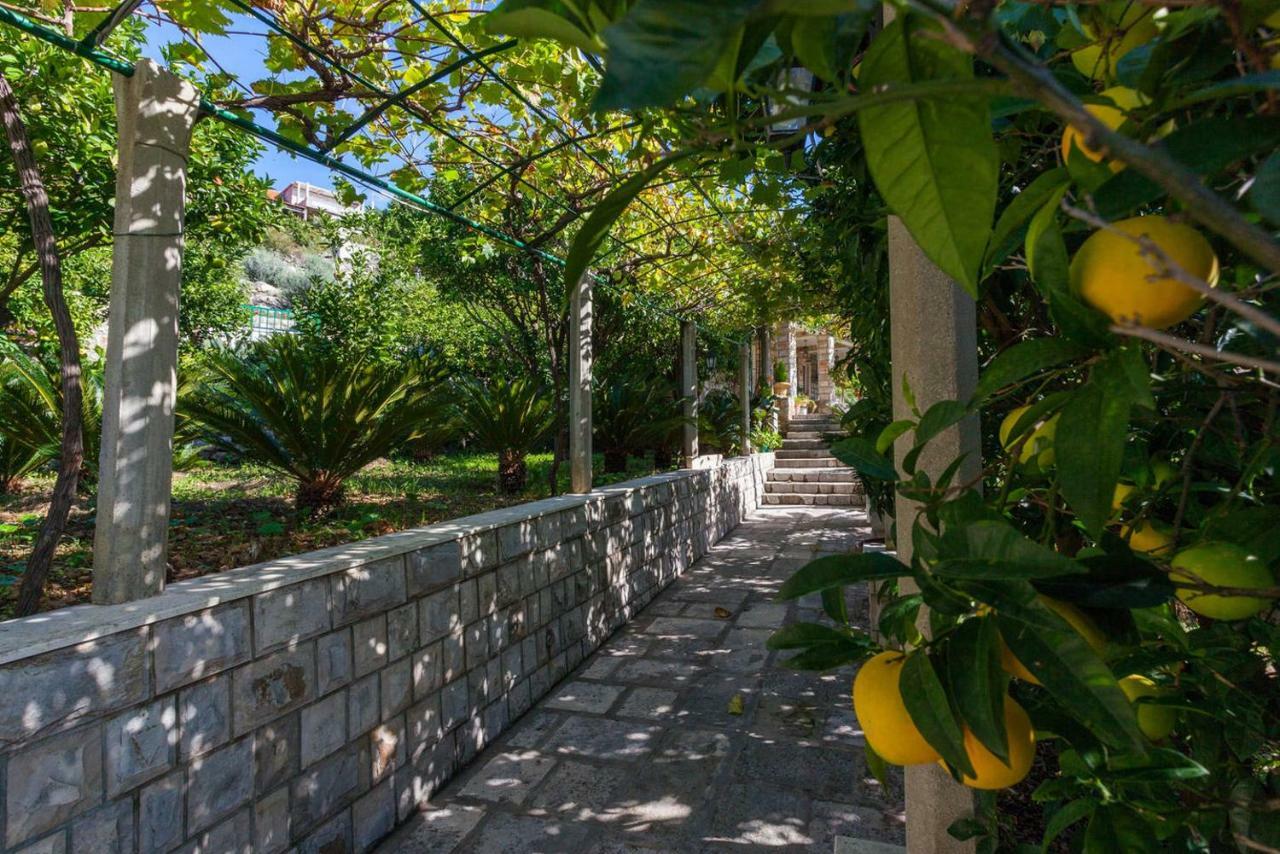 Apartment Aska Lopud